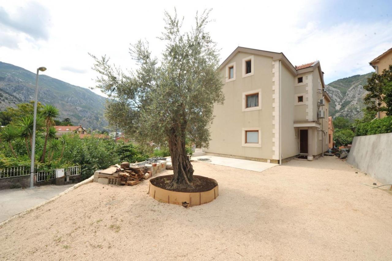 Apartments Olive Kotor Luaran gambar